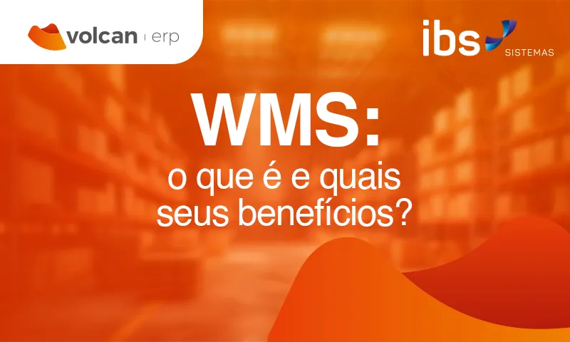 WMS O que é e quais seus benefícios